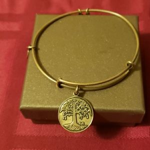 Alex an ani